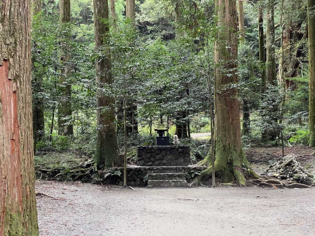 The small stone hokora of Yama Jinja, surrounded by the trunks of cedar trees.
